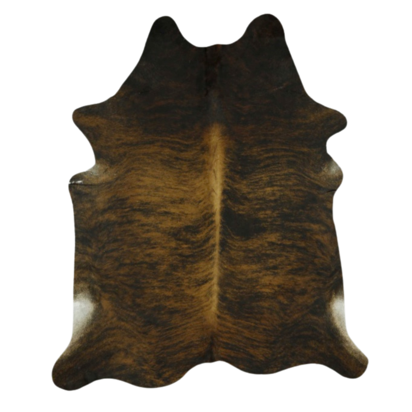 Exotic Dark Brown -- SCO01N Natural Selection