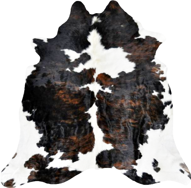 Black And Brown with White -- SCO06N Natural Selection