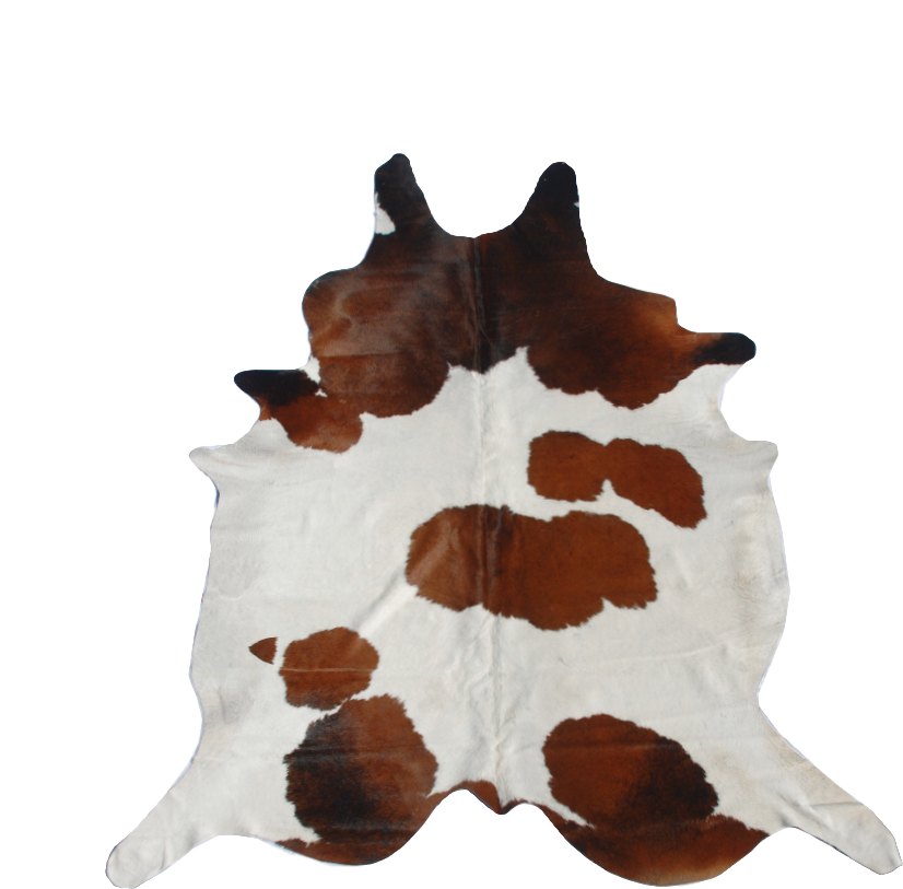 Brown and White -- SCO16N Natural Selection