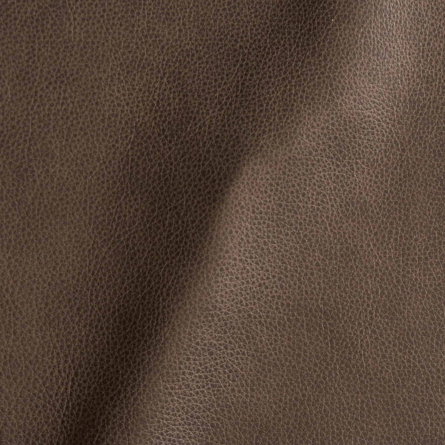 Juliet - Blackish Brown