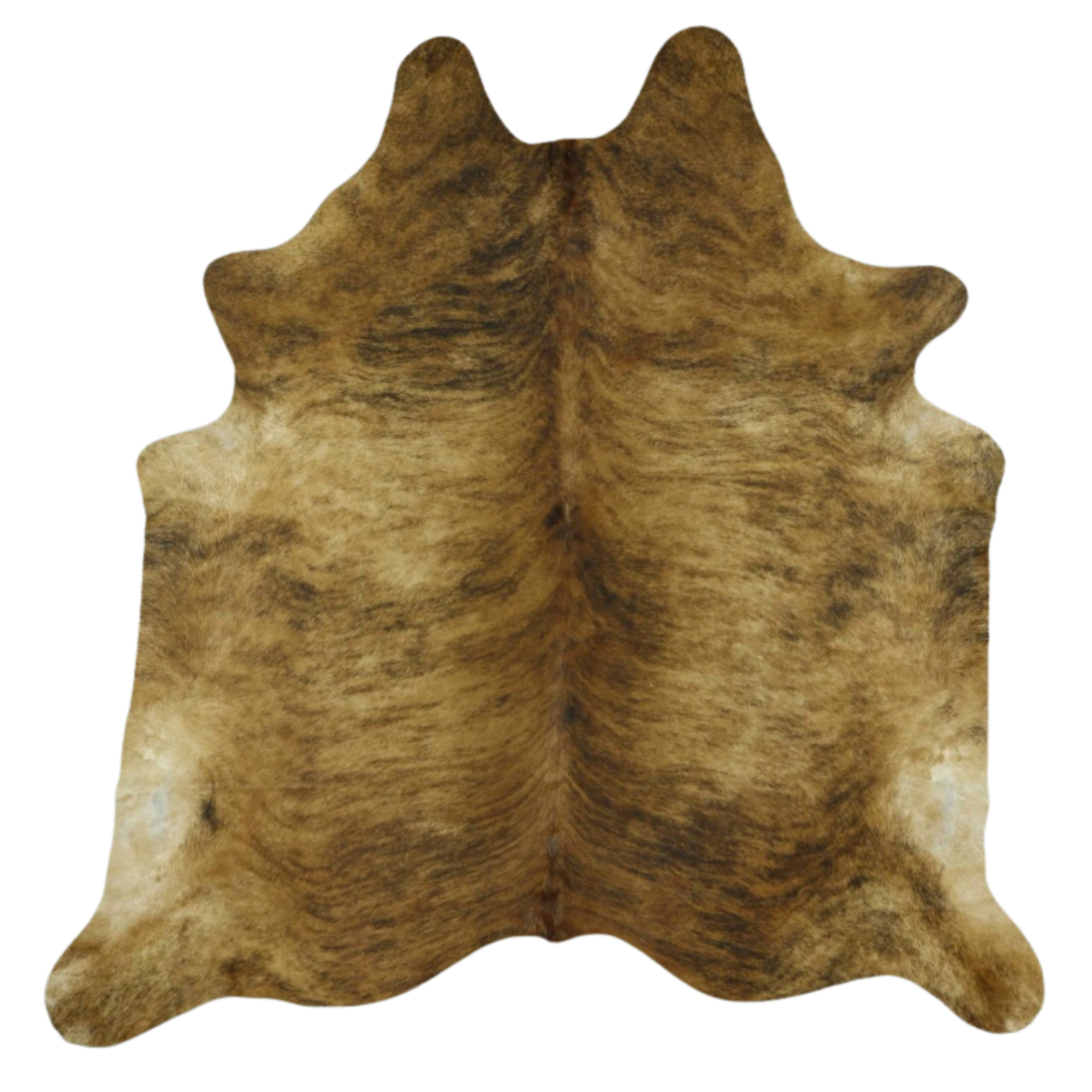 Exotic Shades of Brown - Premium -- SCO03N Natural Selection