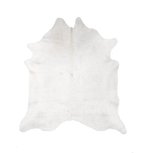Solid White -- SCO12N Top Shelf