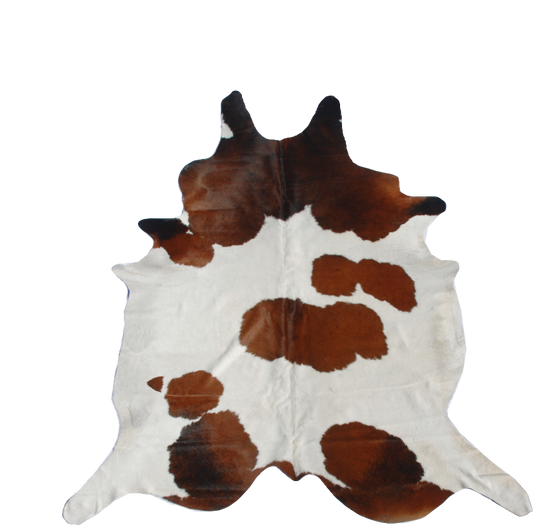 Brown and White -- SCO16N Natural Selection