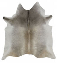 Gris Grey Nelore -- SCO25N Top Shelf