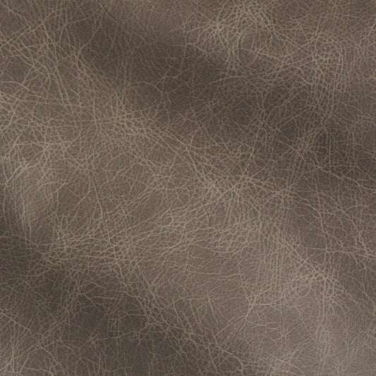 Genoa - Chisel Grey