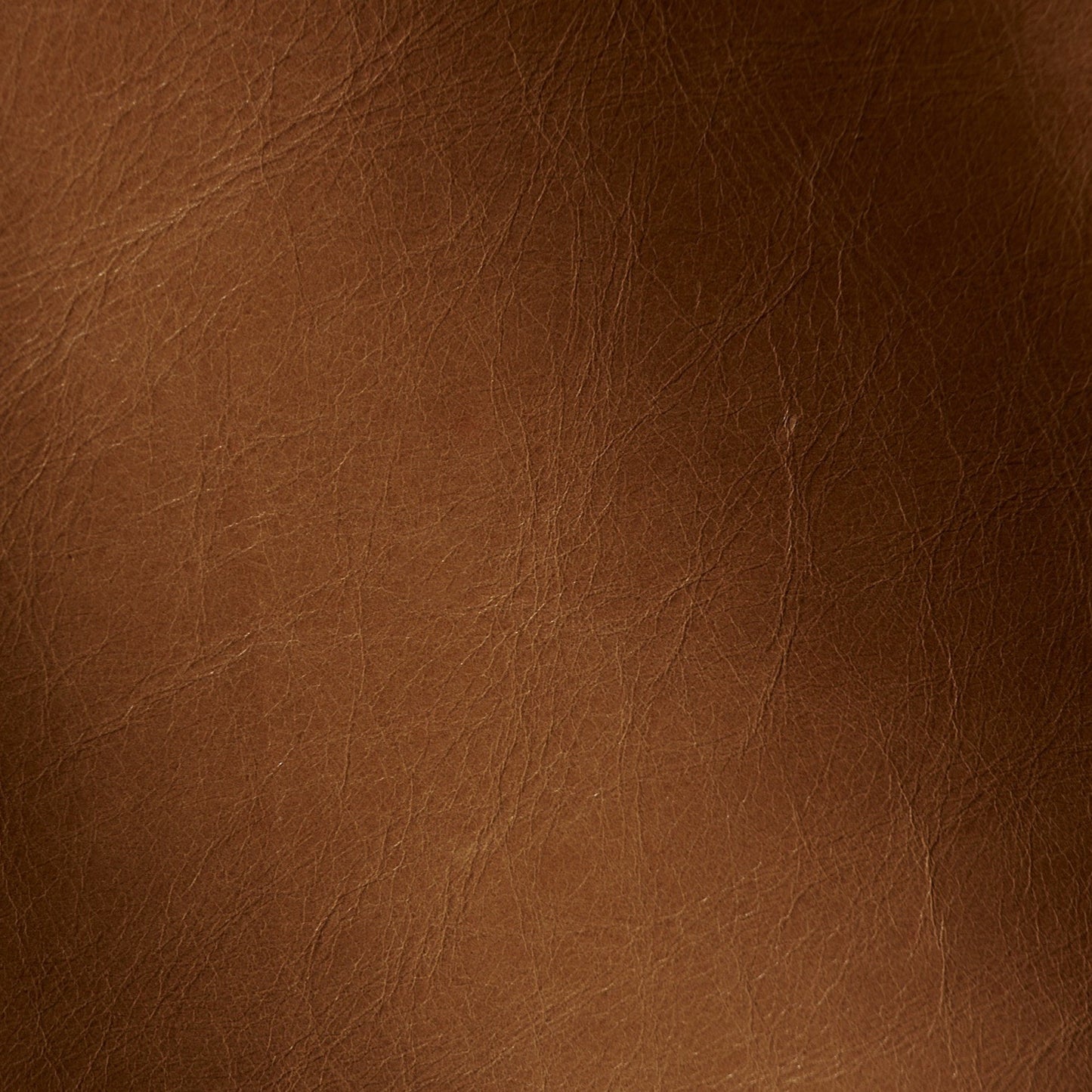 Shakespeare - Light Roast